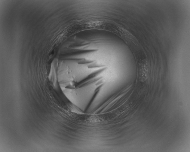 X0000051270608200507011746