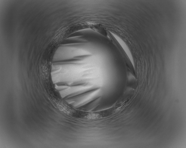 X0000051270609200507011746