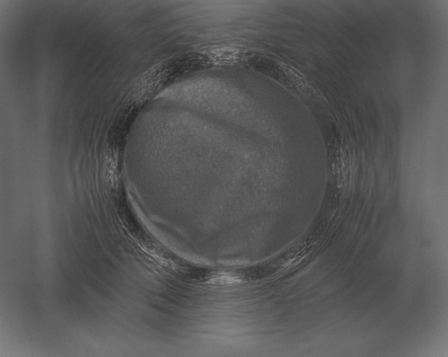 X0000051270610200507011746