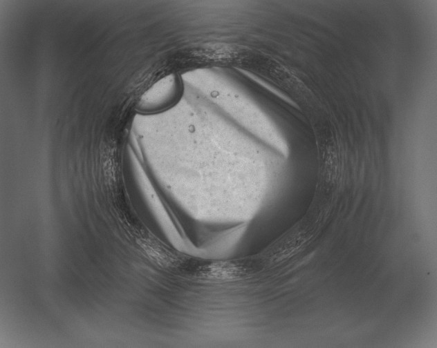 X0000051270612200507011746