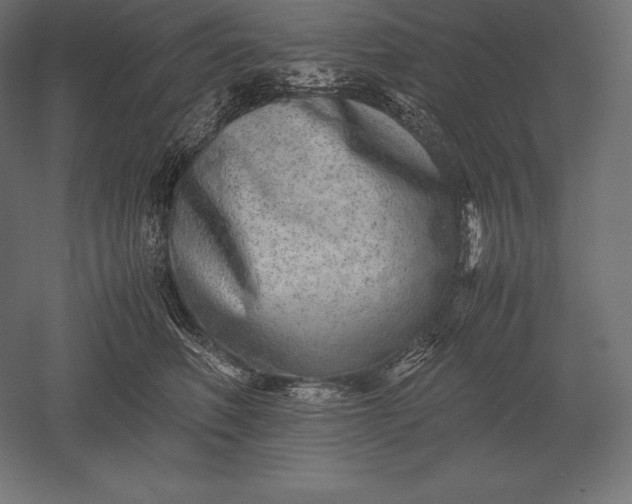 X0000051270614200507011746