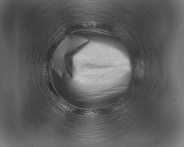 X0000051270616200507011746
