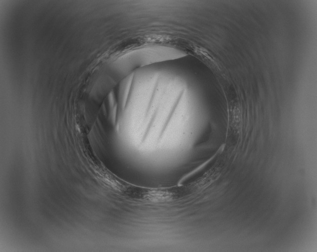 X0000051270617200507011746