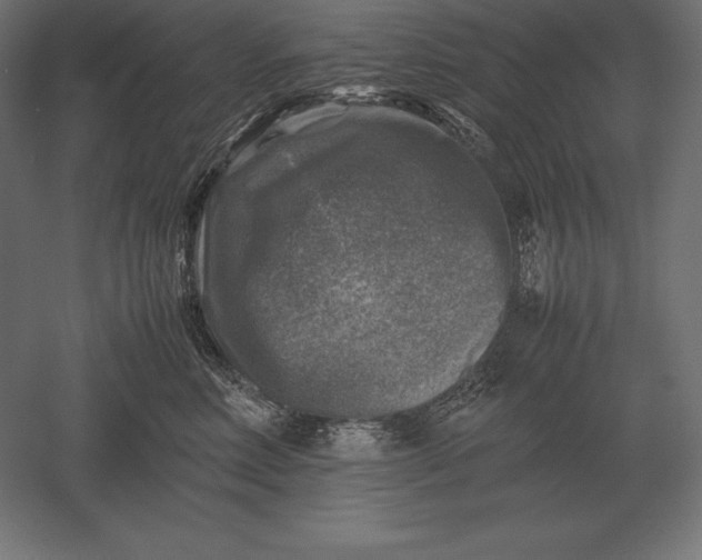 X0000051270618200507011746