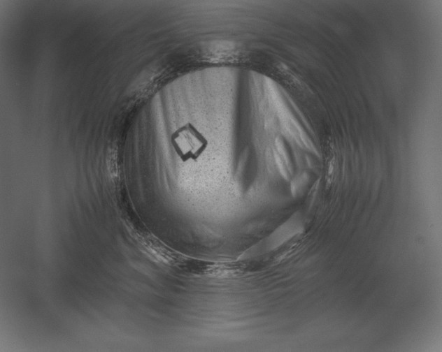 X0000051270620200507011746