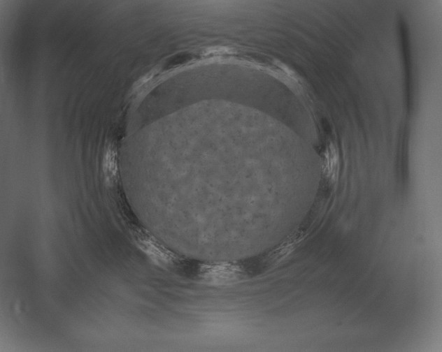 X0000051270621200507011746