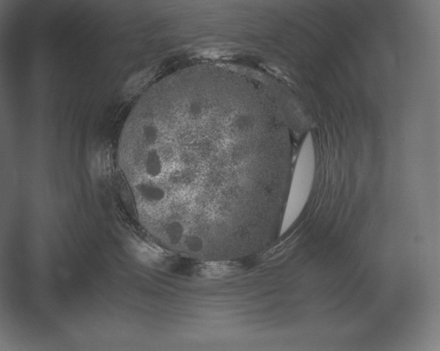 X0000051270623200507011746