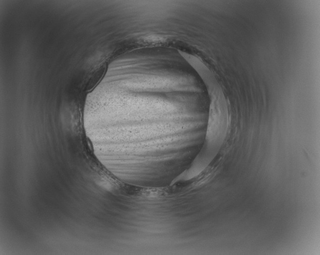 X0000051270624200507011746