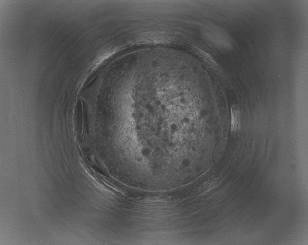 X0000051270627200507011745