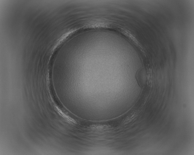 X0000051270629200507011745