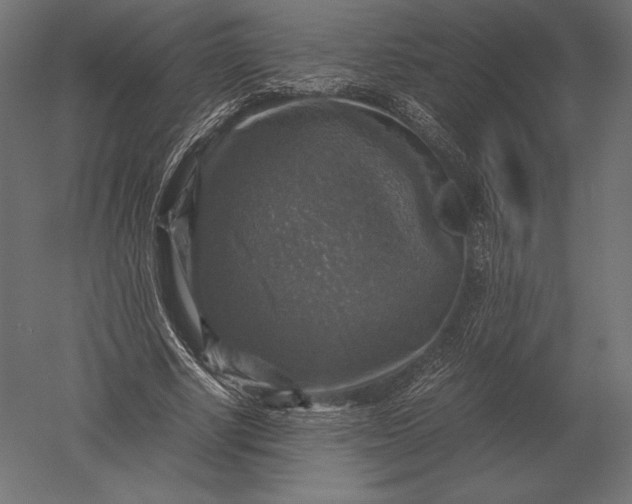 X0000051270634200507011746