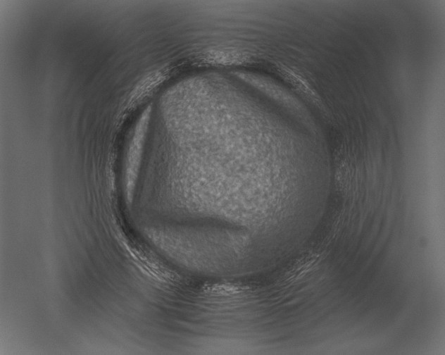 X0000051270635200507011746