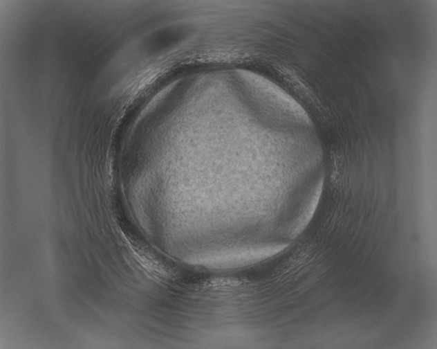 X0000051270636200507011746