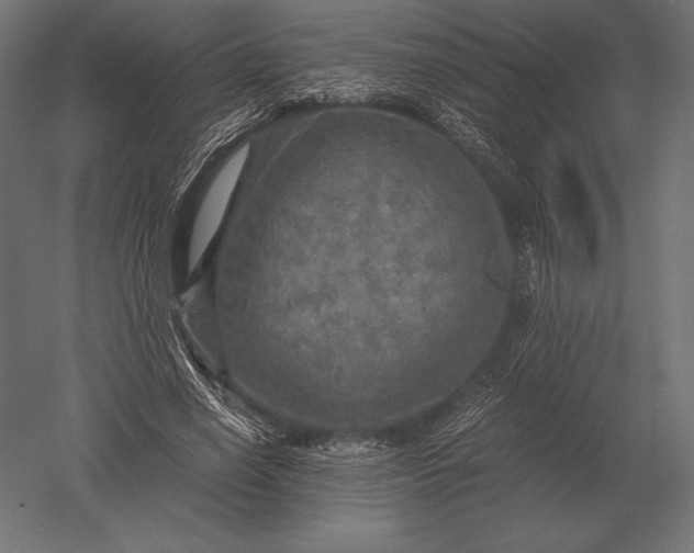 X0000051270638200507011746