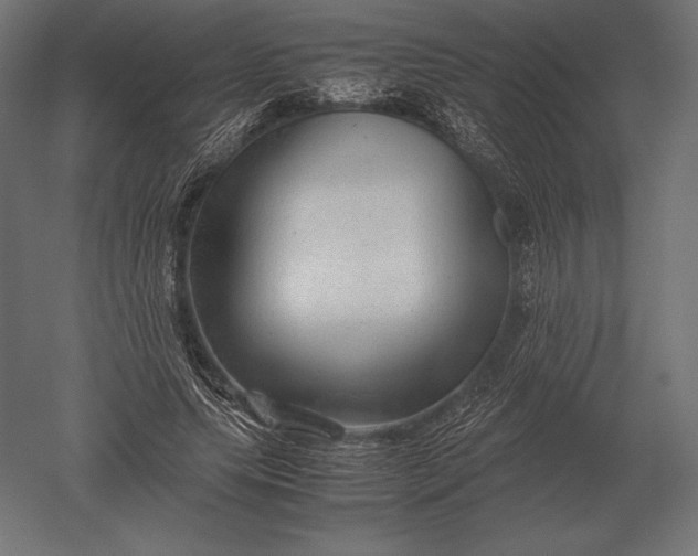 X0000051270639200507011746