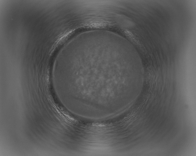 X0000051270640200507011746