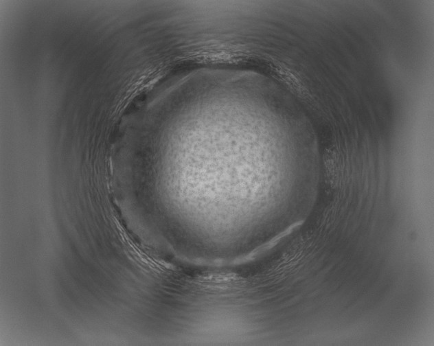 X0000051270642200507011746