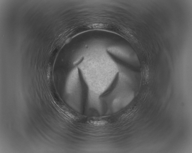 X0000051270645200507011746