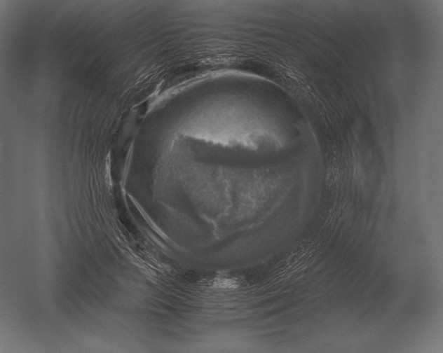 X0000051270647200507011746