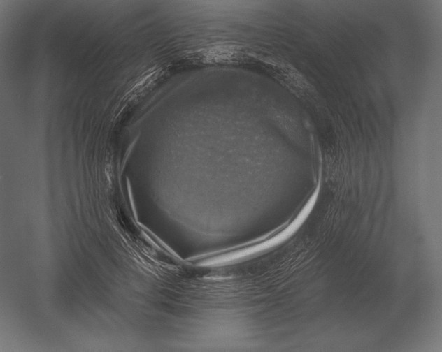 X0000051270648200507011746