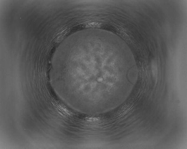 X0000051270649200507011746