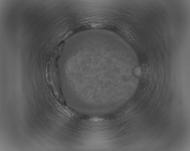 X0000051270650200507011746