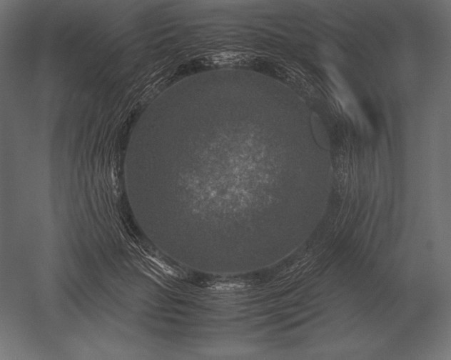 X0000051270653200507011746