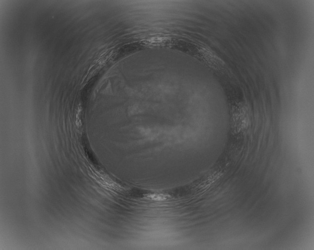X0000051270654200507011746