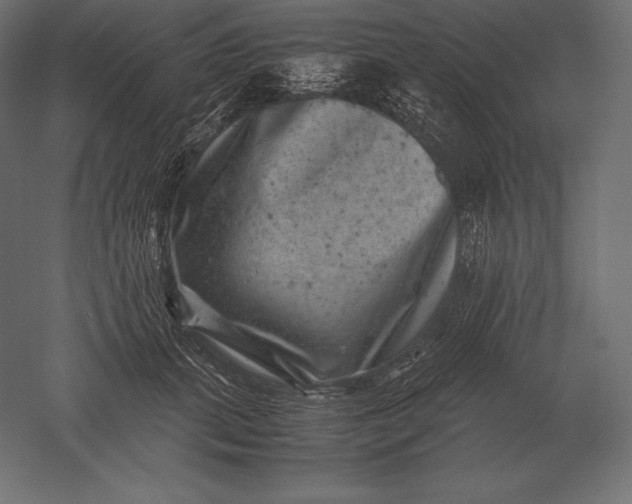 X0000051270655200507011746