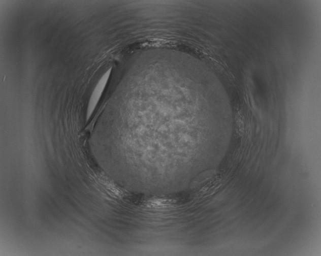 X0000051270657200507011746