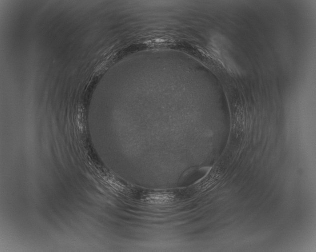 X0000051270659200507011746