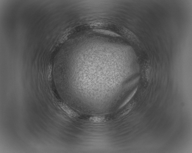 X0000051270660200507011746