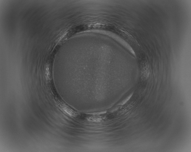 X0000051270661200507011746