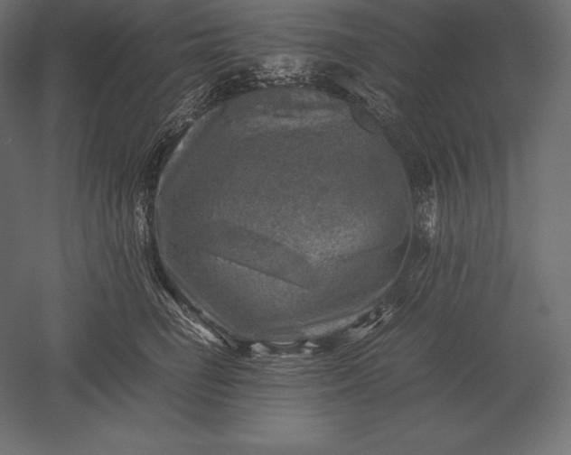 X0000051270662200507011746