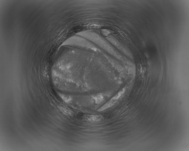 X0000051270663200507011746