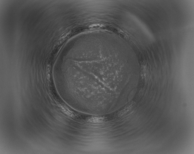 X0000051270664200507011746