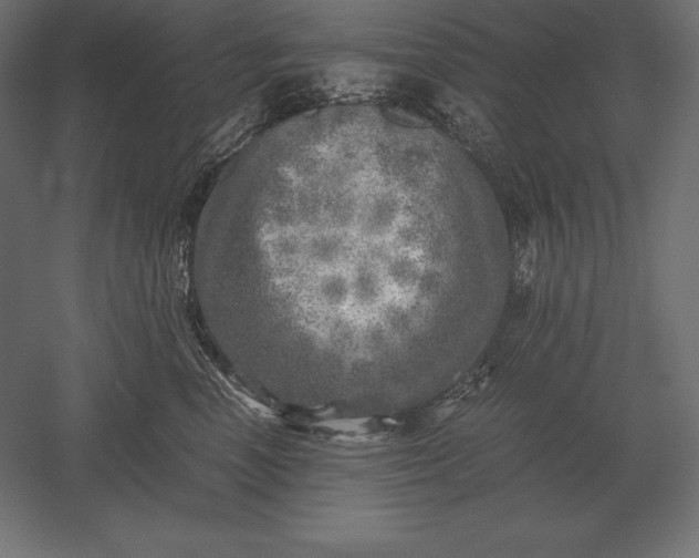 X0000051270666200507011746