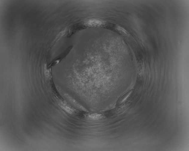 X0000051270669200507011746