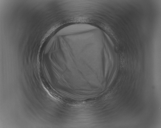 X0000051270674200507011745