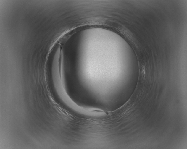X0000051270676200507011745