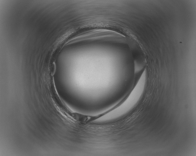 X0000051270677200507011745