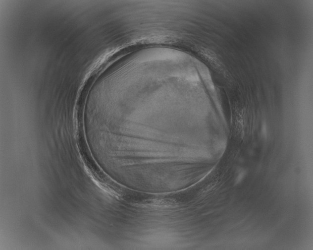 X0000051270678200507011745