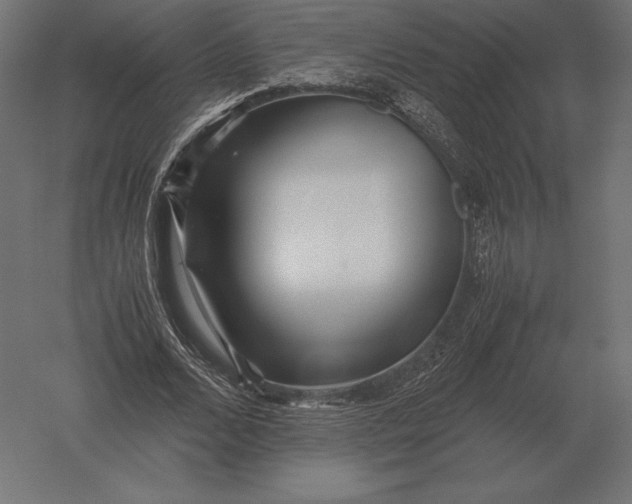 X0000051270680200507011745