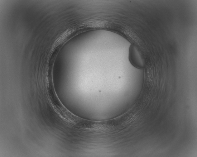 X0000051270682200507011745