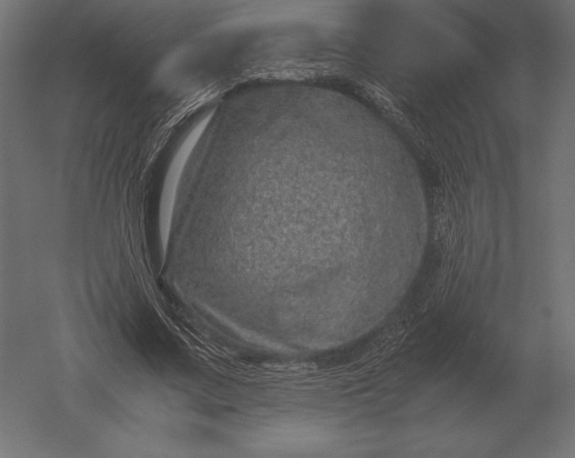 X0000051270683200507011745