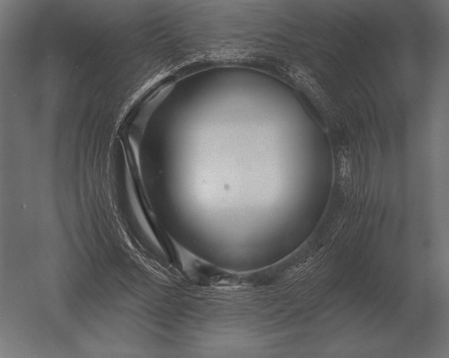 X0000051270684200507011745