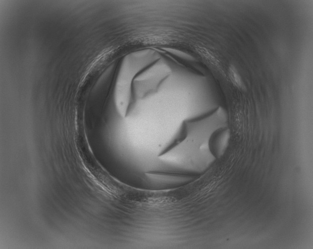 X0000051270686200507011745
