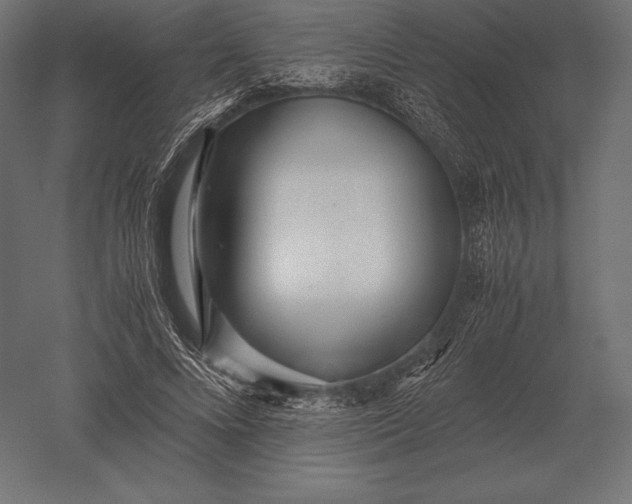 X0000051270688200507011745