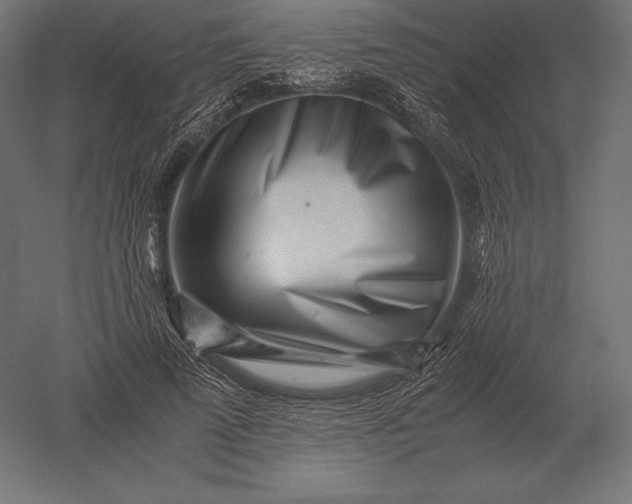 X0000051270689200507011745