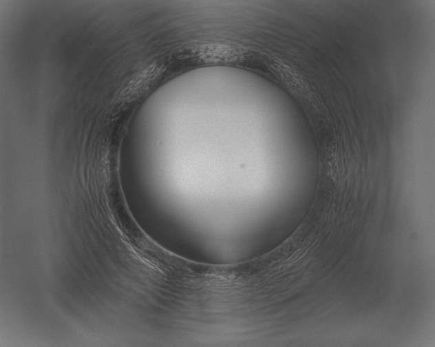 X0000051270690200507011745
